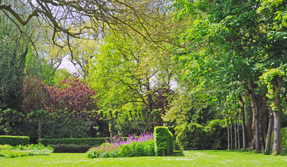 Fototapeta na wymiar Park with trees, bushes, purple flowers in spring