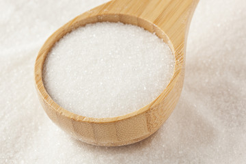 White Organic Cane Sugar