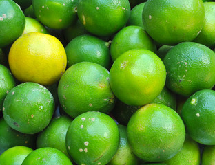 Lemons close-up