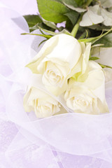 Weisse Rosen