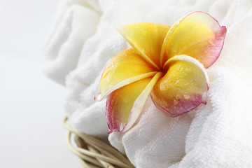 Frangipani flowers and Towel for spa