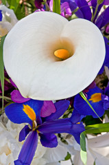 White Calla Lily Bouquet