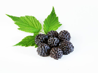 Raspberry with leaves