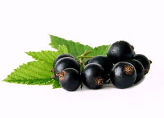 fresh berry currant with green leaves