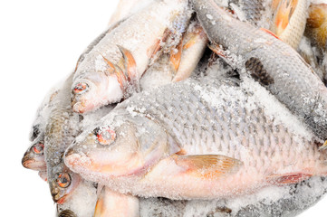 Frozen Fish on White Background