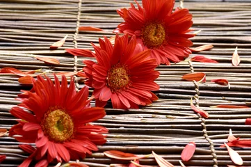 Dekokissen Rote Blume mit Blütenblättern im Spa © Mee Ting