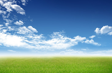 sunny green grass field with blue sky background