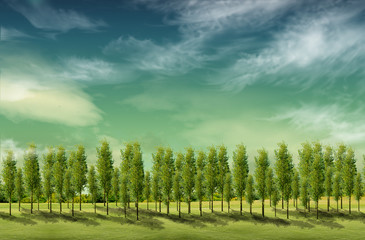 field landscape with trees