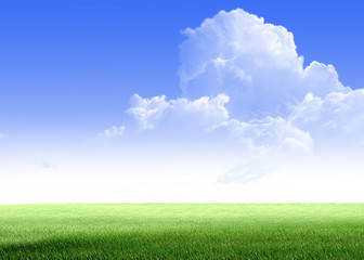 Fototapeta premium see 