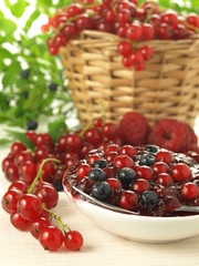 Red currant jam
