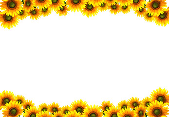 sun flower frame