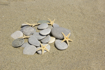 Fototapeta na wymiar stones with starfishes