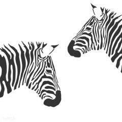 Fototapeta na wymiar Wektor zebra