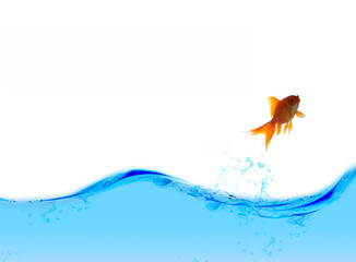 Water with gold fish background