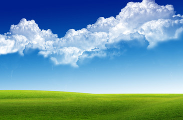 Fototapeta premium Green field and sky blue with white cloud