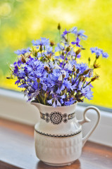 Bouquet of bluets