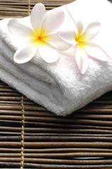 Obraz na płótnie Canvas frangipani na ręcznik w spa