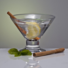 Aromatic gin tonic