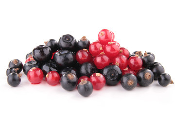 isolated assortment of berries