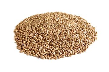 buckwheat on isolated background
