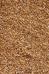 Buckwheat texture