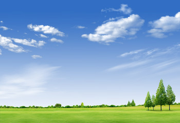 Beautiful landscape with tree,  grass green field,forrest  and b