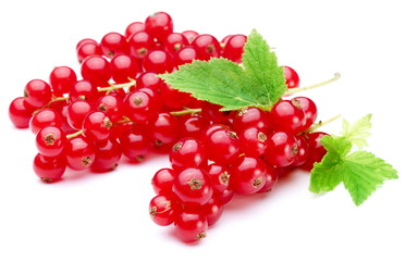 Bunch of red currants