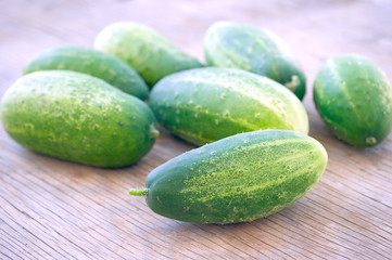Fresh cucumbers