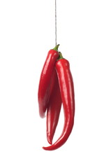 Red chili pepper