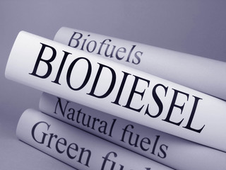 Production of biodiesel - Guide