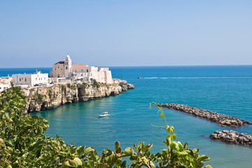 Panoramic view of Vieste. Puglia. Italy.