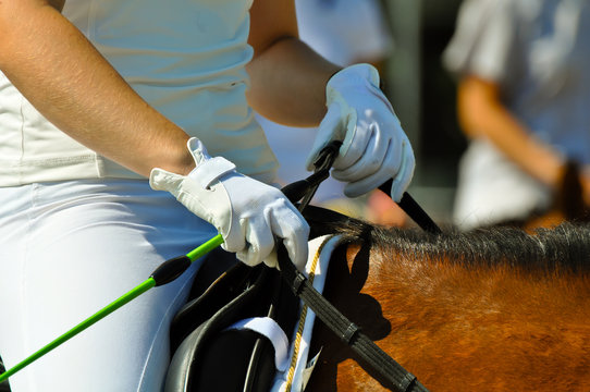 female riders hands holding reins