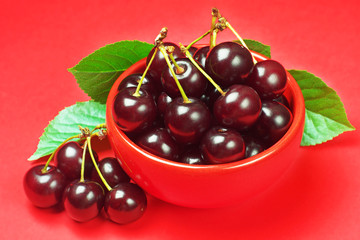 Cherry in bowl