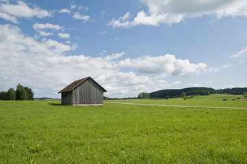 Fototapeta na wymiar Holzhütte auf Wiese
