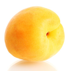 ripe sweet apricot isolated on white