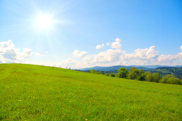Fototapeta premium green mountain meadow in spring