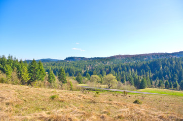 Naklejka premium Beautiful view of a mountains.