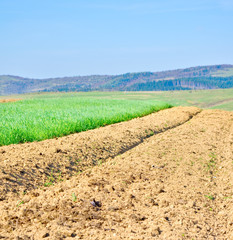 Brown soil of an agricultural field in the mountains