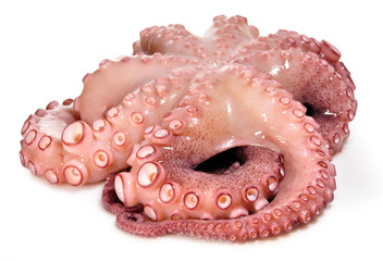 Pulpo cocido sobre fondo blanco.