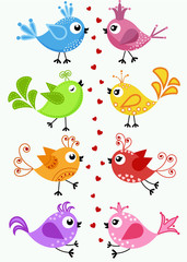 The colorful birds in a situation