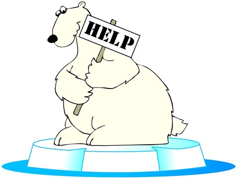 Polar bear in trouble