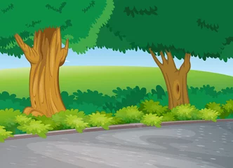 Gordijnen boom naast de weg © GraphicsRF