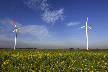 Wind Turbines with blue sky and the sun shining on green