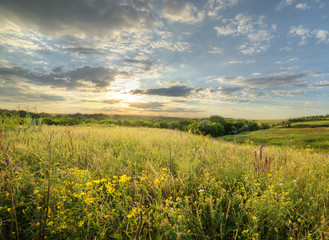 The landscape of the field with a spectacular sky