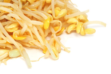 soybean sprouts