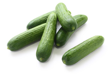fresh cucumbers