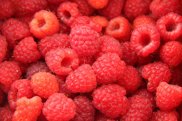 Framboises