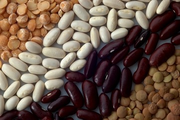 legumes
