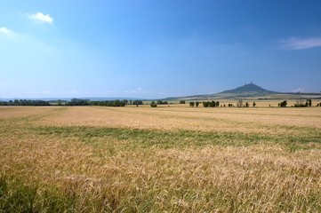 Fototapeta premium Landscape with Castle