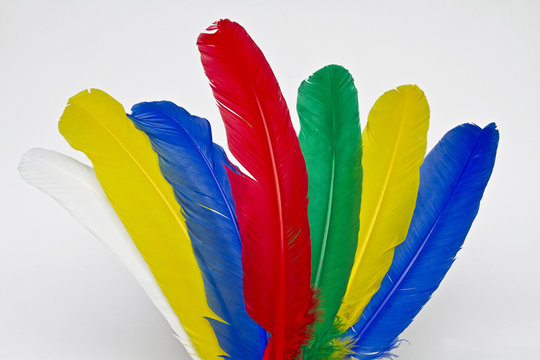Bunte Federpracht